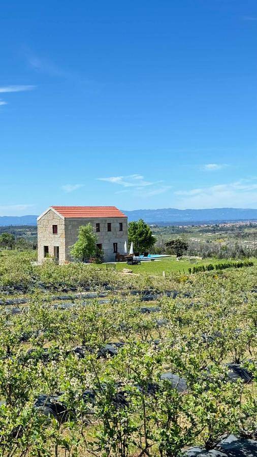 Casa de férias para 6 pessoas, com piscina e vista e ainda piscina infantil and jardim, com animais de estimação em Seia