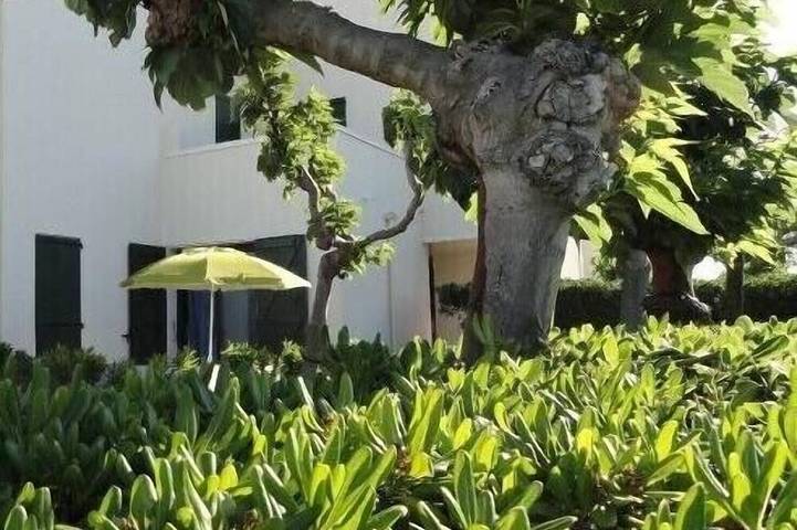 Ganze Wohnung, Erdgeschoss direkten Zugang zum Strand, große Terrasse in Le Barcarès, Côte d'Améthyste