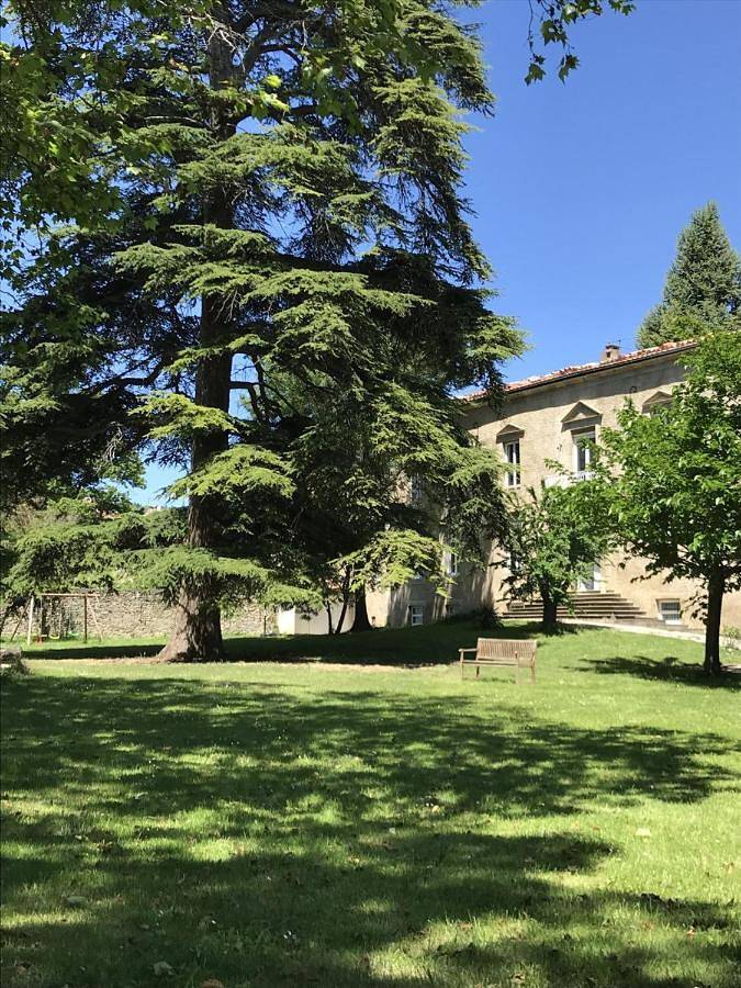 Les cèdres in Chalabre, Région de Limoux