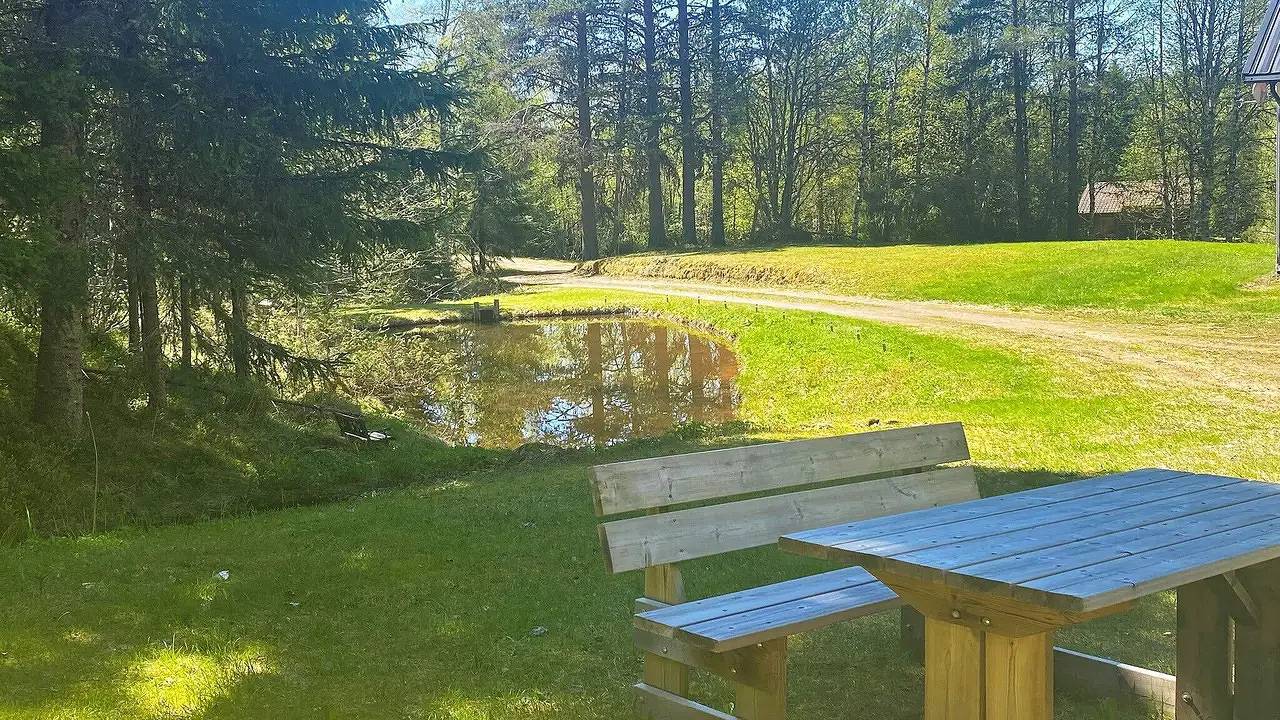 Ferienhaus für 6 Personen (120 m²) in Transtrand in Transtrand, Malung-Sälen und Umgebung