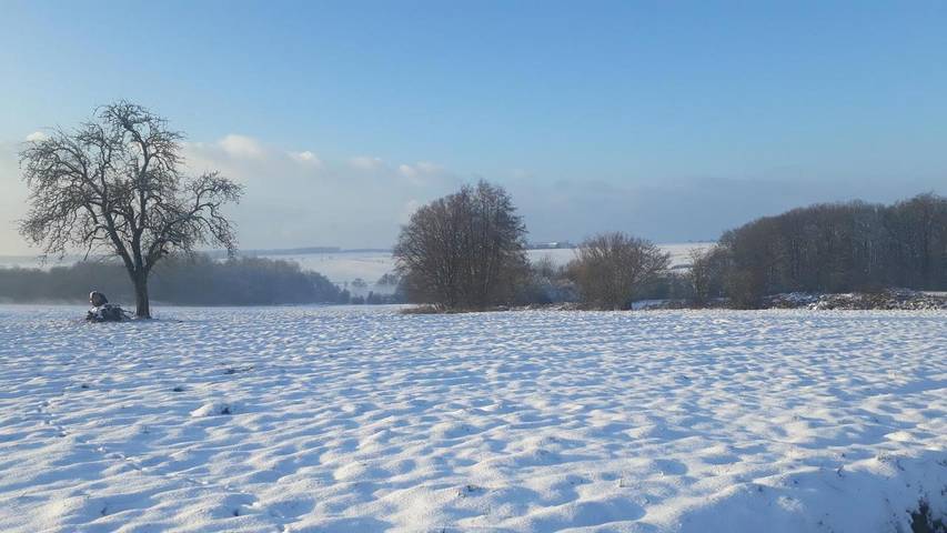 Location de vacances pour 2 personnes, avec vue ainsi que terrasse et jardin à Momignies - 4