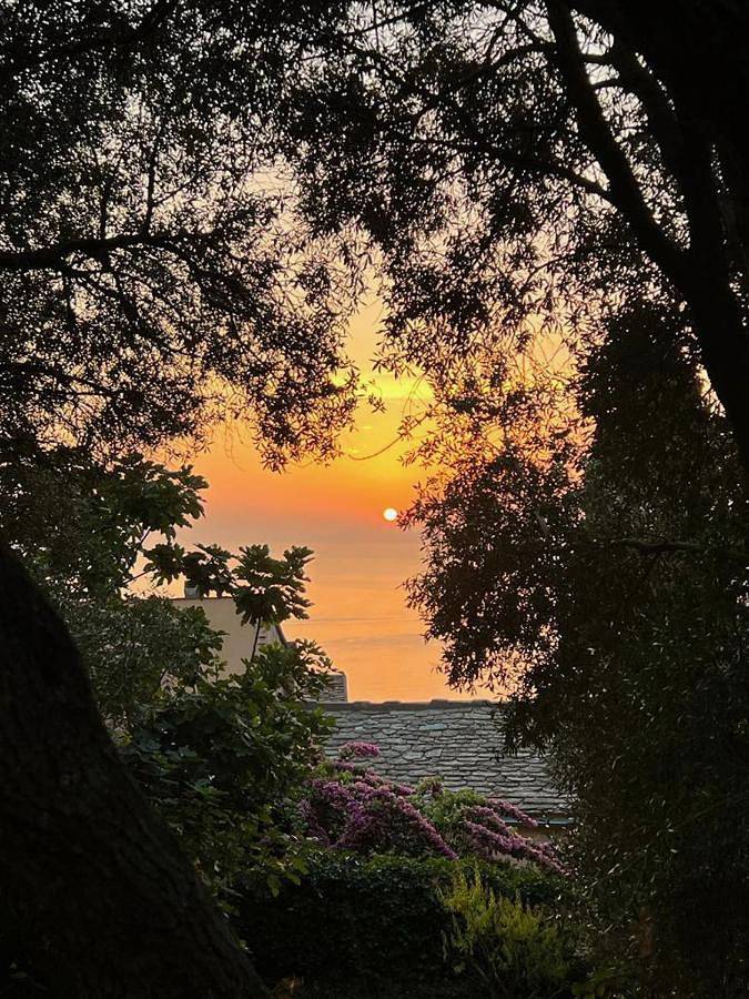 Location de vacances pour 10 personnes, avec vue et terrasse, animaux acceptés à Morsiglia - 4