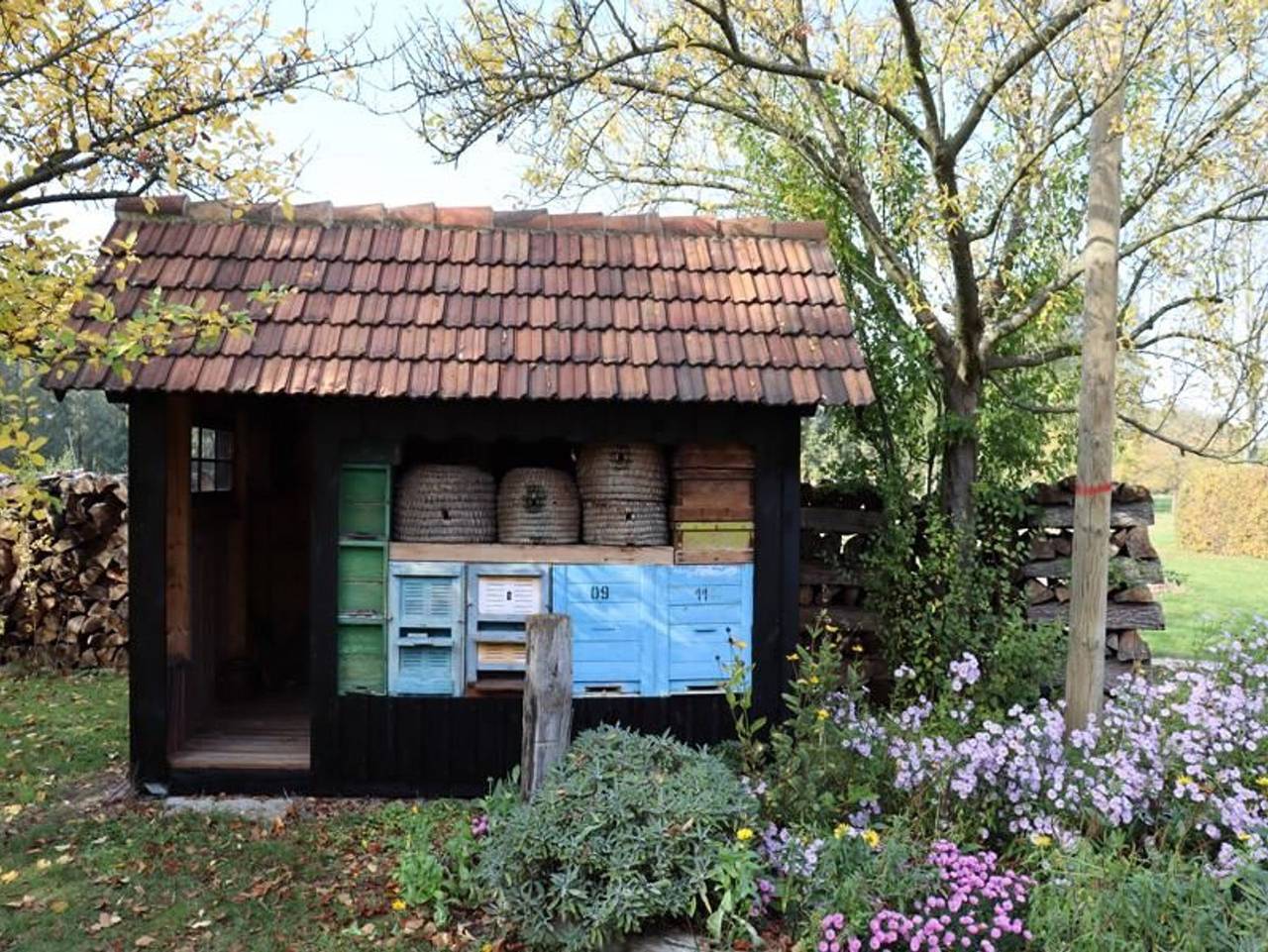 Ganze Ferienwohnung, Ferienwohnung Weidengrund Burg Kauper - Ferienwohnung 1 in Byhleguhre, Byhleguhre-Byhlen