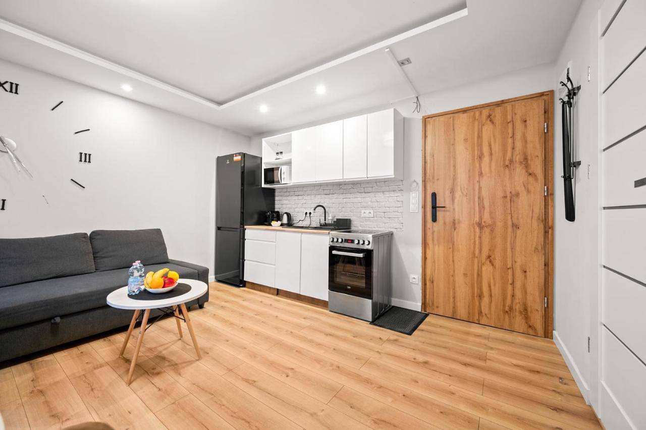 Cały apartament, Central Platinum Apartments 14 in Rybnik, Śląsk