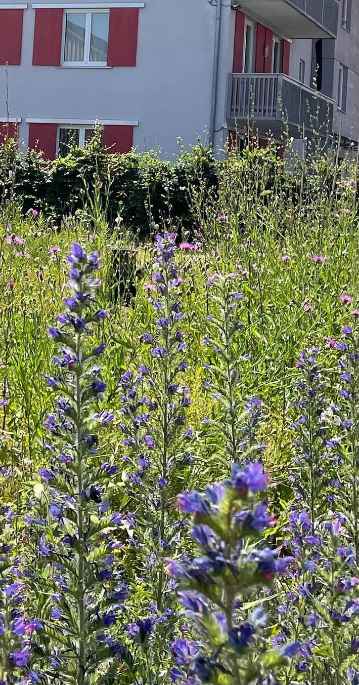 Ferienwohnung für 2 Personen, mit Balkon/Terrasse und Balkon, kinderfreundlich in Bad Aibling - 3