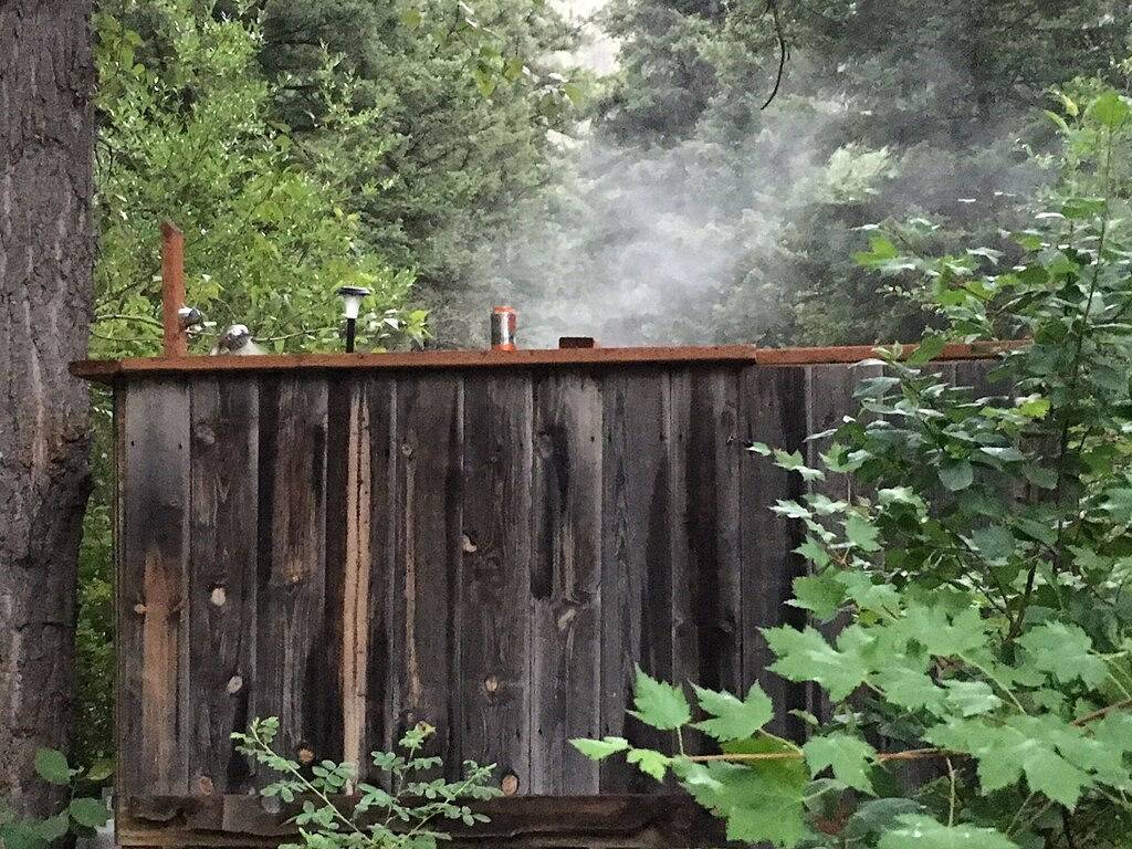 Auf der Suche nach Ruhe und Einsamkeit? Hier ist der Ort. in Granite County