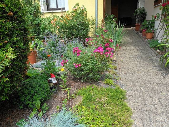 Ferienhaus für 2 Personen, mit Balkon und Terrasse in Bad Schandau - 3