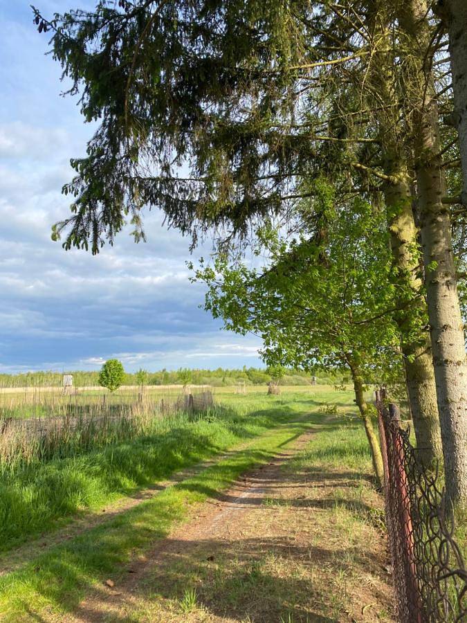 Holiday Home in Ahlbeck bei Ueckermünde, Vorpommern Greifswald