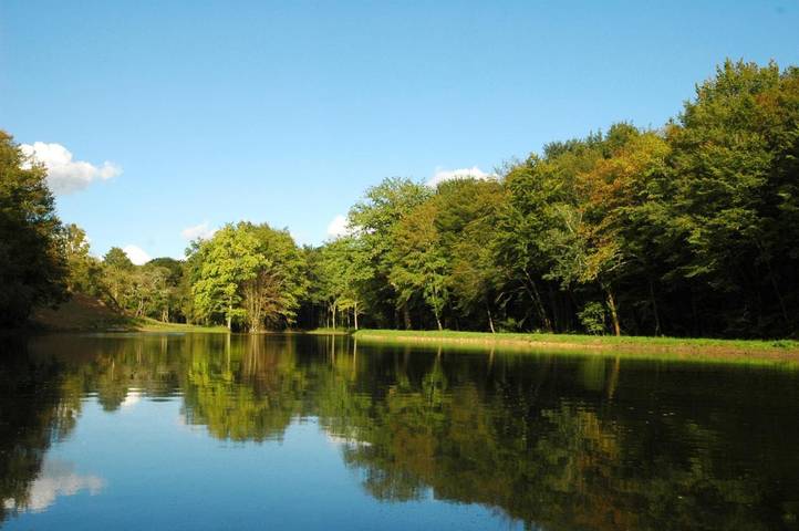 Location de vacances pour 2 personnes à Chalais (Indre) - 3