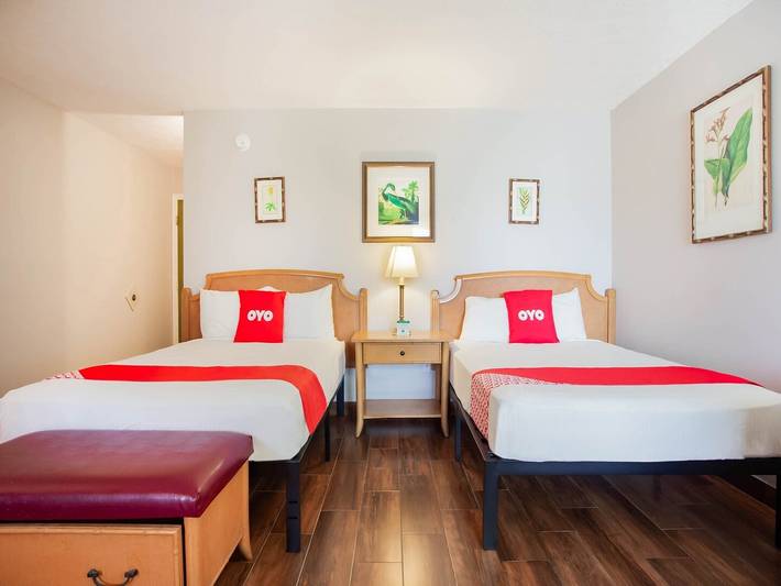 Appartement de vacances pour 4 personnes, avec piscine et terrasse - 1