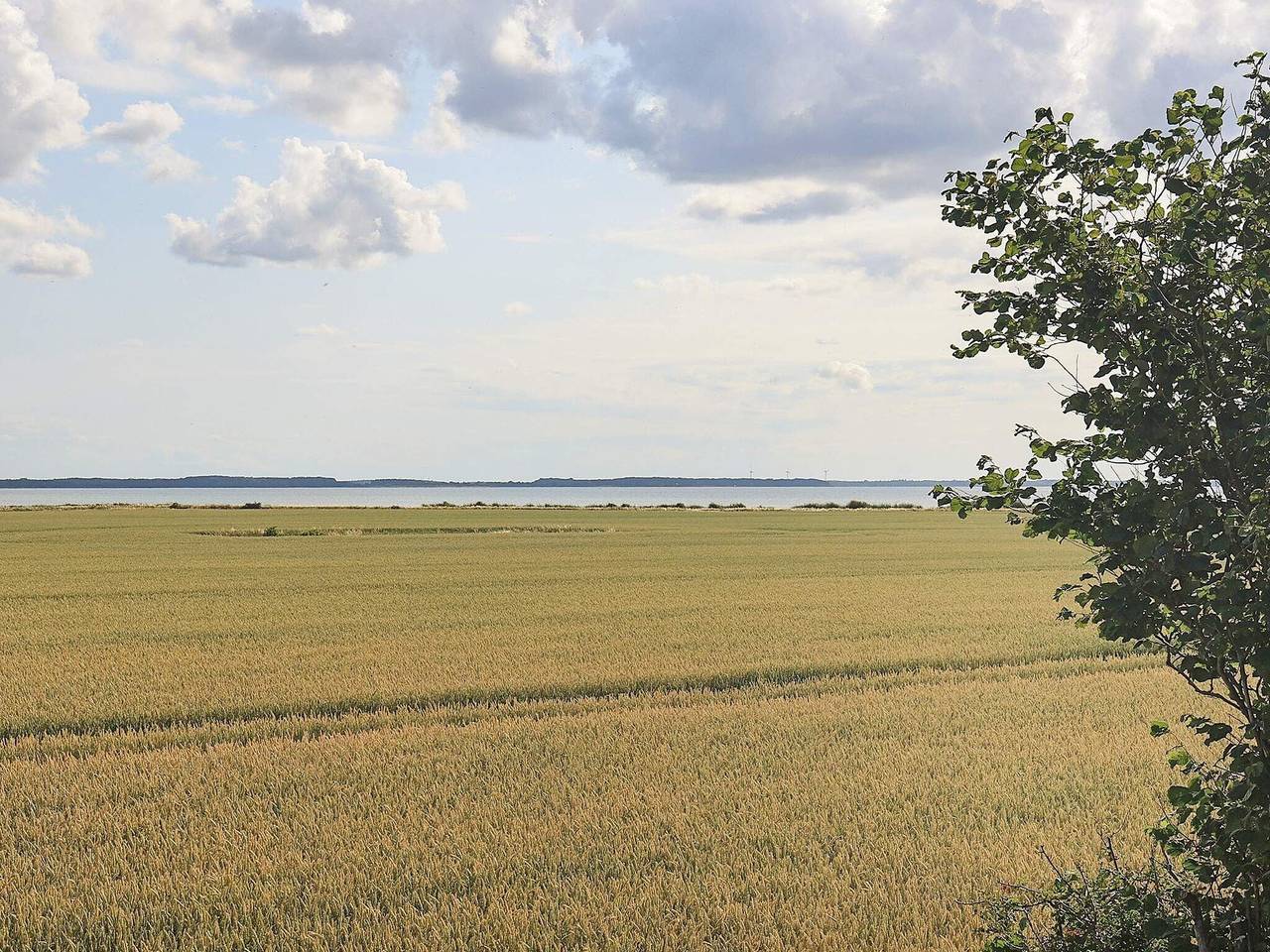 6 Personen Ferienhaus in Guldborg in Schwedische Ostsee