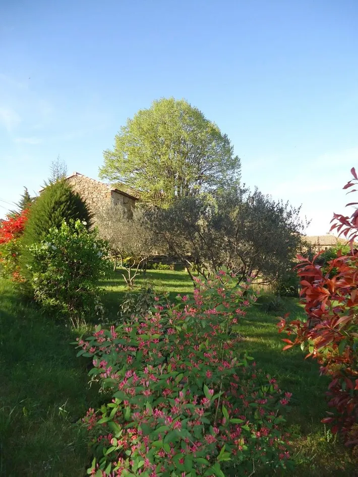 Chambre d’hôte pour 3 personnes, avec terrasse ainsi que vue et jardin - 1