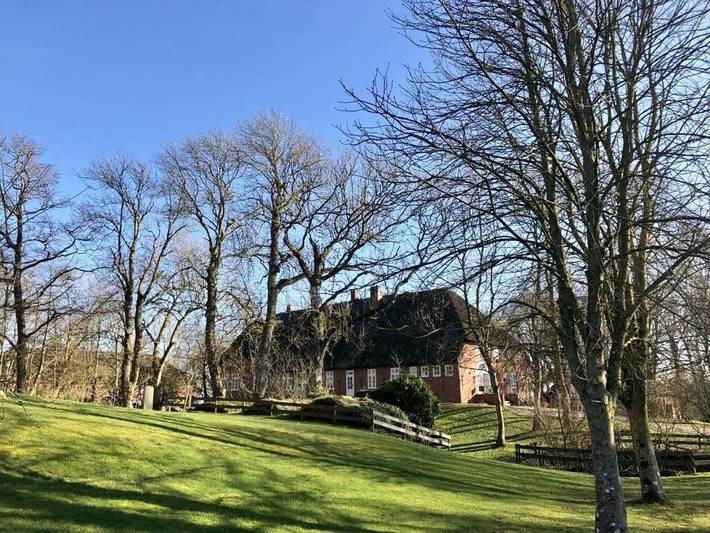 Ferienhaus für 4 Personen, mit Terrasse und Garten sowie Sauna