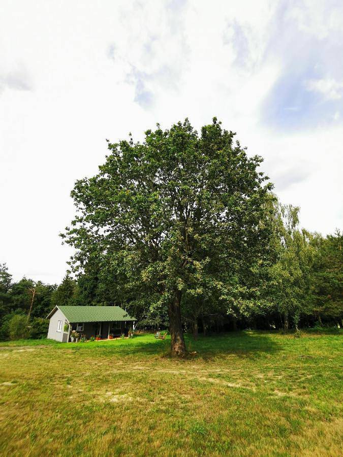 Domek Park Korzonek in Śląsk
