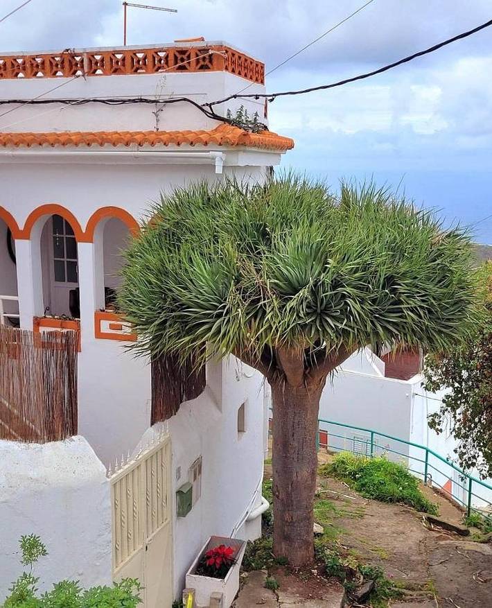 BnB für 2 Personen, mit Terrasse, mit Haustier auf Gran Canaria
