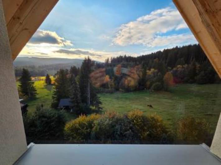 Ferienwohnung für 4 Personen, mit Garten im Südschwarzwald