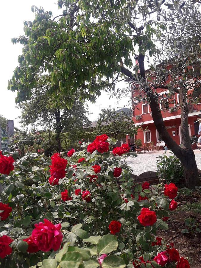 B&B für 5 Personen, mit Terrasse und Garten, mit Haustier in den Dolomiten - 3