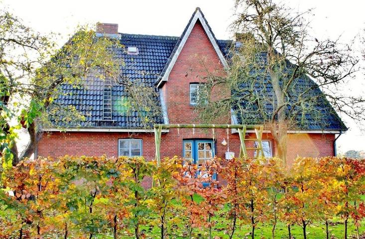 Ferienwohnung für 2 Personen, mit Terrasse und Garten in Wrixum - 3