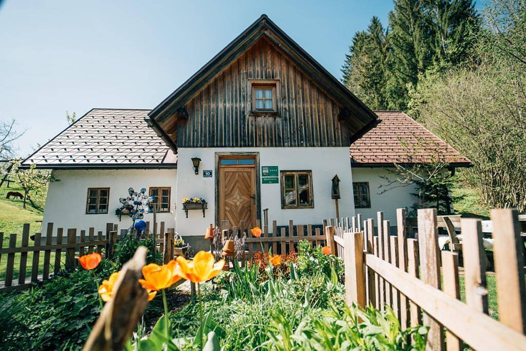 Geheel vakantieappartement, Ferienhaus Lenzau - Ferienhaus für 2-8 Personen in Göstling an der Ybbs, Mostviertel Region