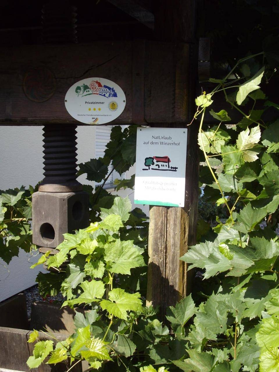 Ganze Wohnung, Apartment with Mountain View in Burg (Mosel), Bernkastel-Kues & Umgebung