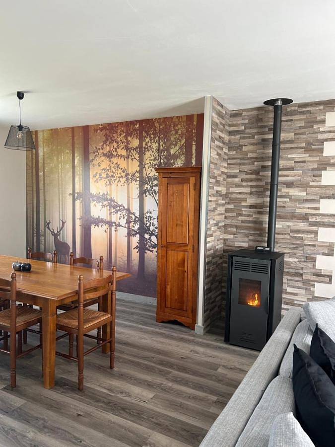 Location de vacances pour 7 personnes, avec jardin à Cheverny - 4