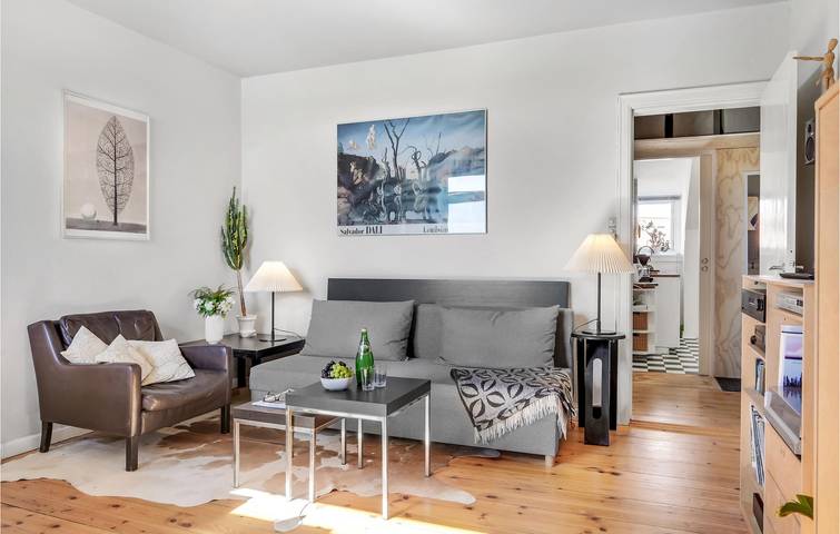 Gîte pour 4 personnes, avec terrasse à Copenhague - 4