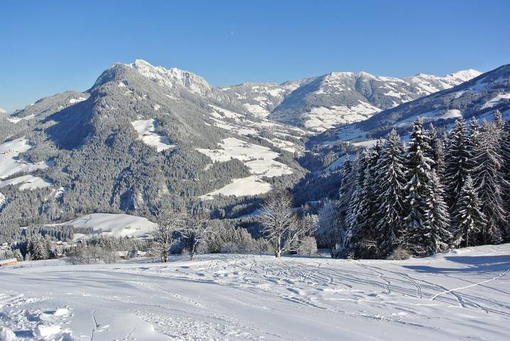 Ferienwohnung für 6 Personen, mit Balkon in Reith im Alpbachtal