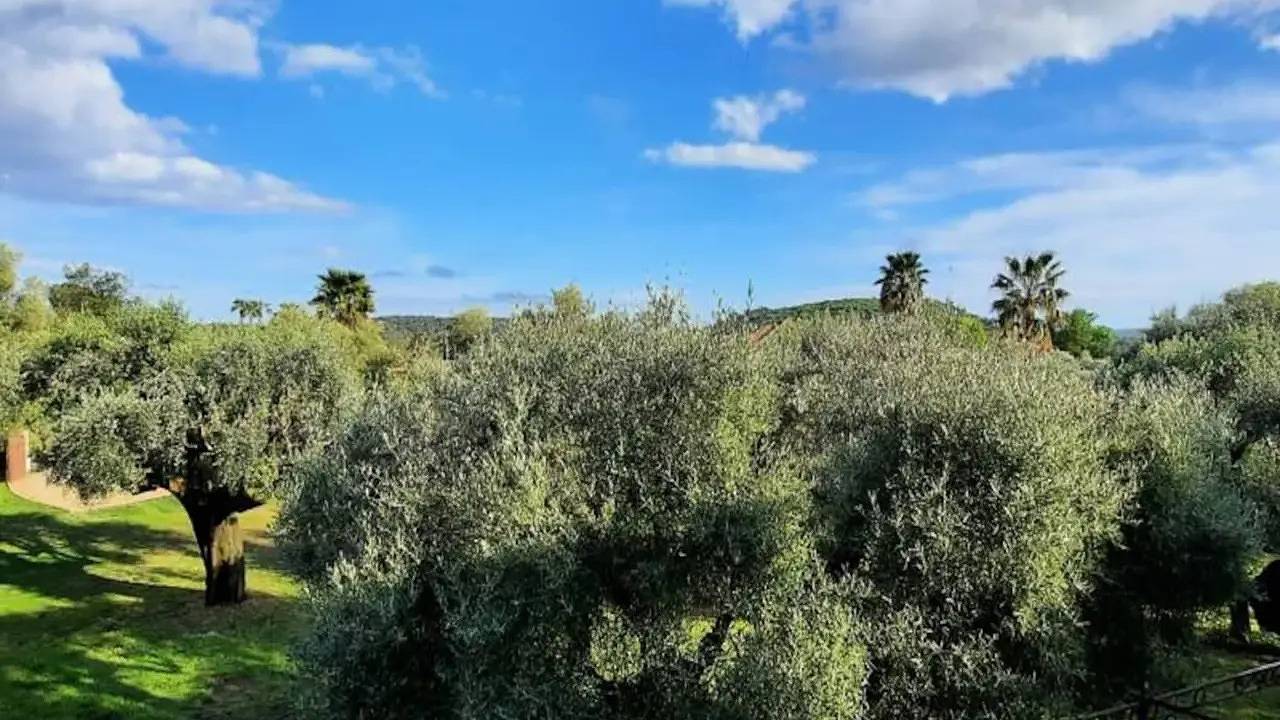 Apartamento vacacional entero, Ferienwohnung für 8 Personen (130 m²) in Tourrettes-sur-Loup in Tourrettes-sur-Loup, Costa mediterránea (Francia)