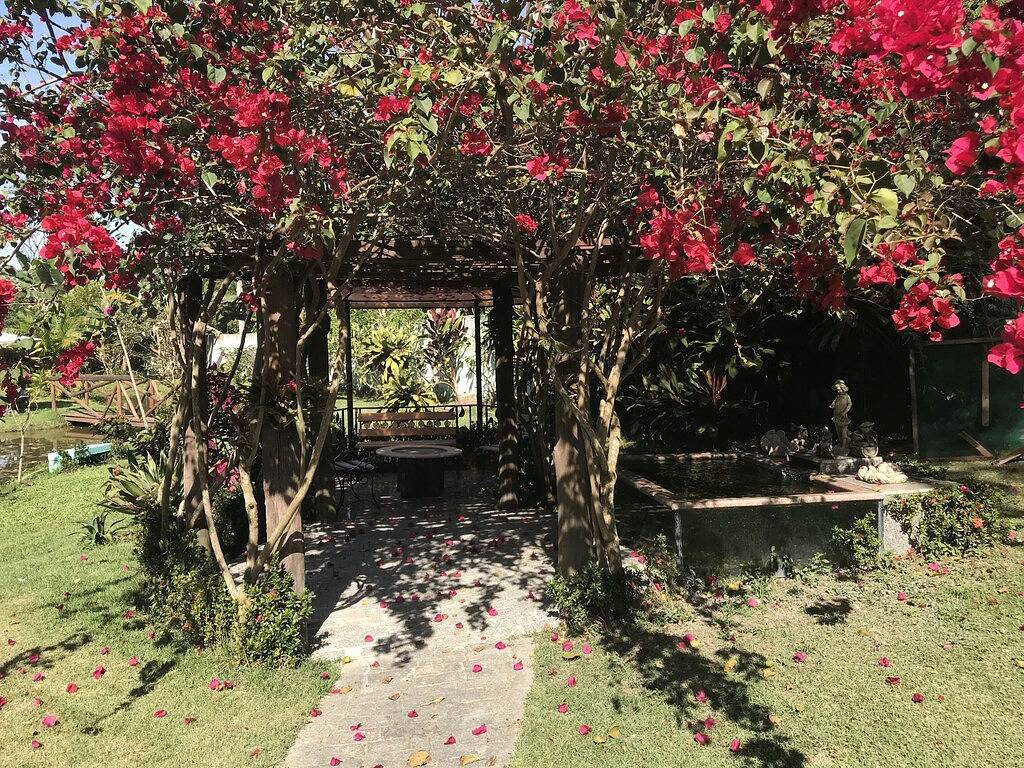 Bauernhaus und Wald in Guapimirim, Rio de Janeiro (Bundesstaat)