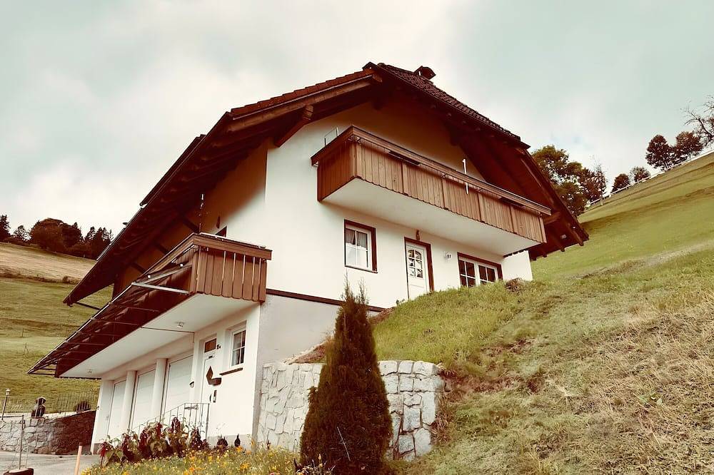 Ganze Wohnung, 'Ferienwohnung mit Bergblick 1' mit Balkon und Wlan in Suedlicher Schwarzwald, Wieden