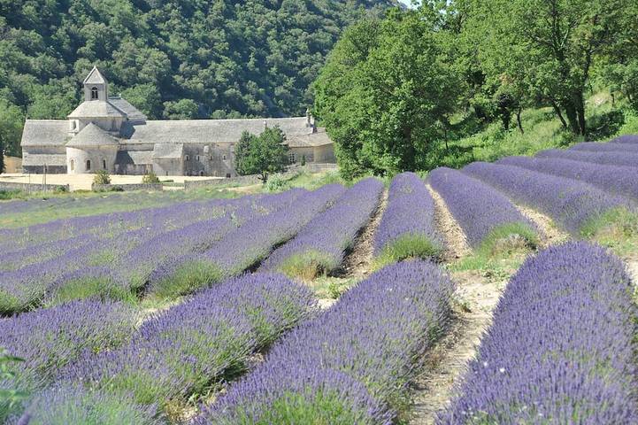 Location de vacances pour 6 personnes, avec terrasse et jardin à Saint-Didier - 4