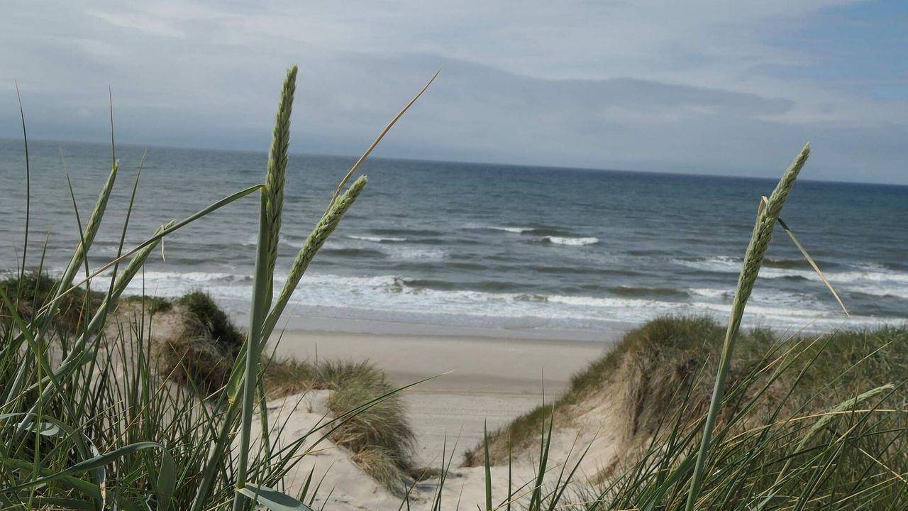 Ganze Ferienwohnung, Ferienwohnung für 6 Personen (129 m²) in Ringkøbing in Søndervig, Holmsland Klit