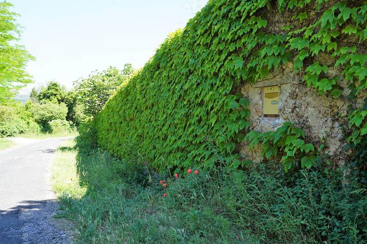 Appartement de vacances pour 4 personnes, avec terrasse et jardin, animaux acceptés dans l' Aude - 2
