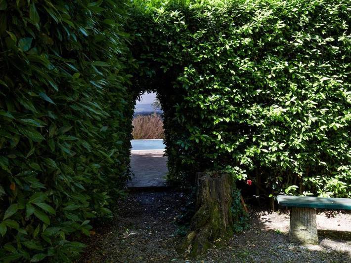 Location de vacances pour 12 personnes, animaux acceptés dans Ghizzano - 3