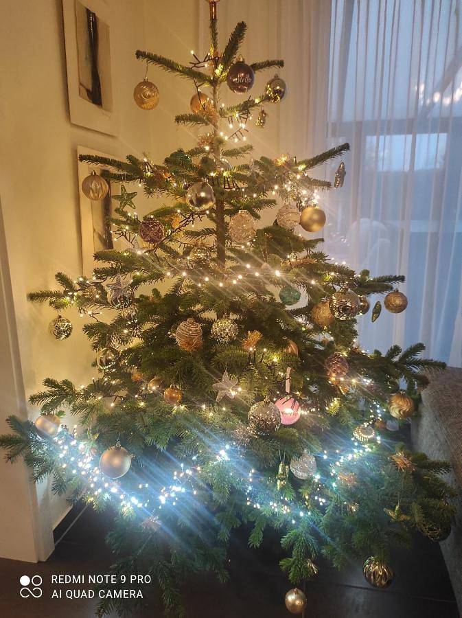 Ferienwohnung für 6 Personen, mit Ausblick und Garten sowie Sauna in Bitburg - 2