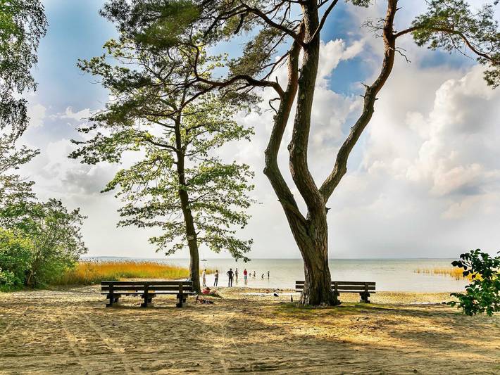 Müritzparadies - Feriendorf Alte Fahrt - 2-Raum-Ferienwohnung, 2 (+2) Personen, Eg (9) in Rechlin, Müritz