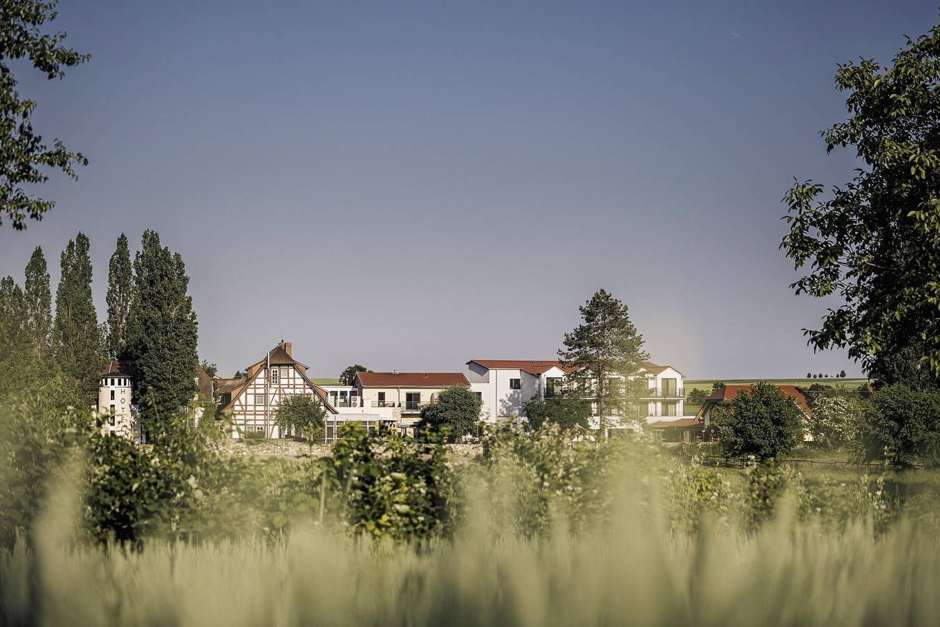 Einzelzimmer Wohlfühlnest in Köngernheim, Landkreis Mainz-Bingen