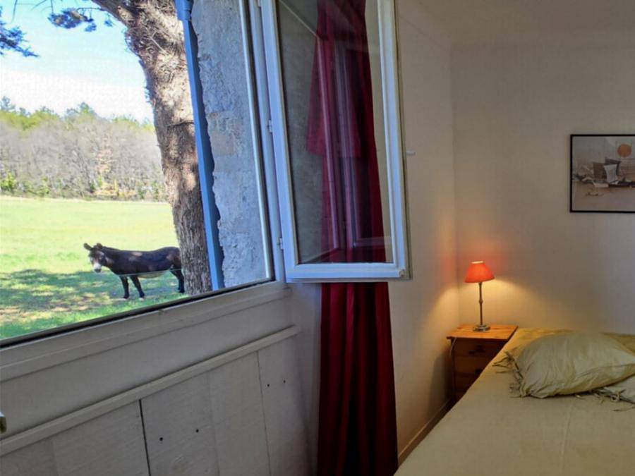 Camping Verdon les Grands Domaines - Landhaus 2 personen in Saint-Laurent-du-Verdon, Regionaler Naturpark Verdon