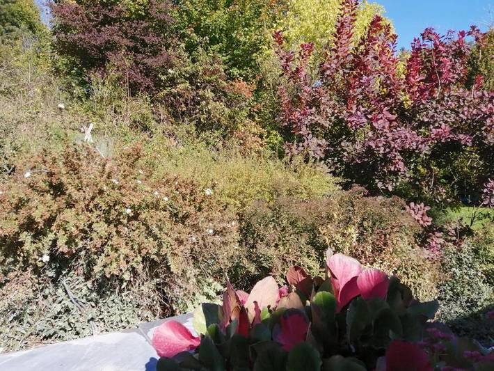 Gîte pour 3 personnes, avec jardin et vue, adapté aux familles à Anhée - 3