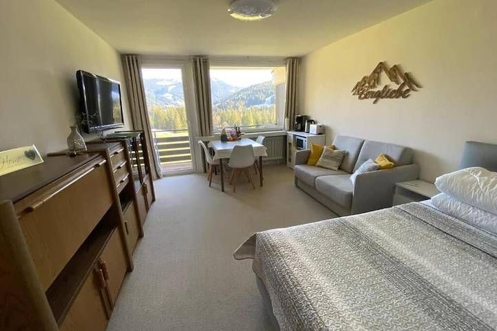 Ganze Wohnung, 1-Zimmer- Appartment mit Bergblick an der Skipiste mit WLAN, Netflix, Prime in Balderschwang, Bayerisch Schwaben