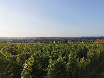 Ferienhaus für 5 Personen in Volkach, Romantische Straße, Bild 4
