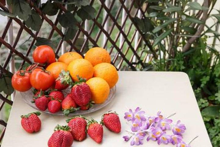 Location de vacances pour 4 personnes, avec vue et jardin à Asnières-sur-Seine - 4