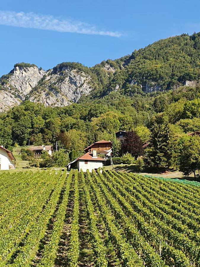 Single Room with Garden View in Ayse, Région de Bonneville
