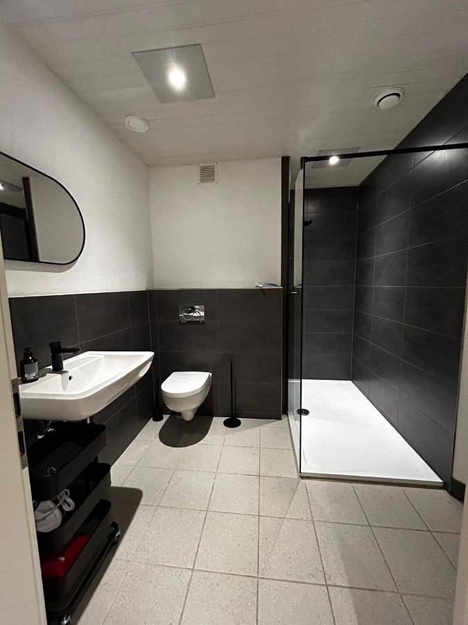 Gîte pour 8 personnes, avec terrasse dans Ibbenburen