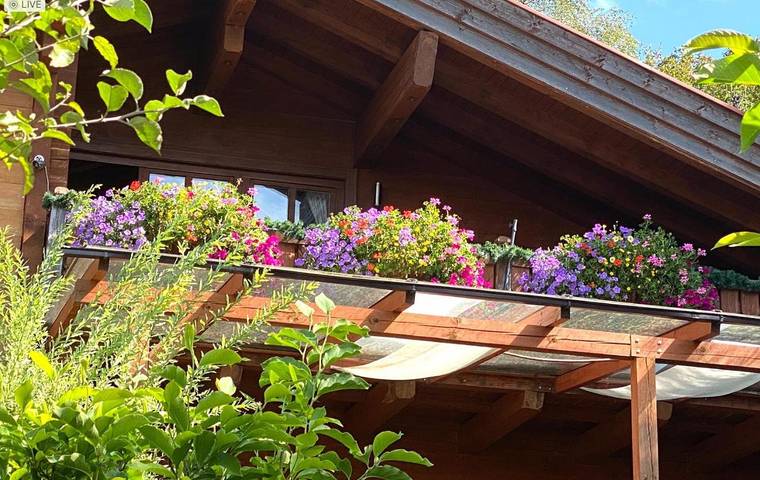 Ferienwohnung für 3 Personen, mit Sauna und Garten sowie Whirlpool in Das Blaue Land - 3