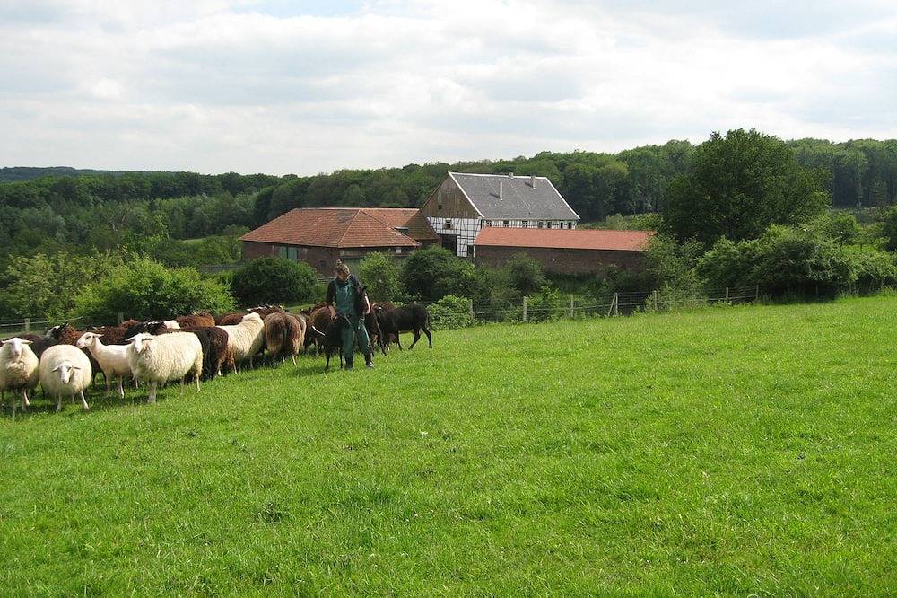 Erholsame Ferien im Grünen auf dem Ibinghof in Wetter (Ruhr), Ennepe-Ruhr-Kreis