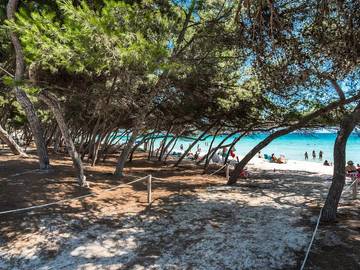 Apartment in Playa de Alcúdia, Alcúdia für 6 