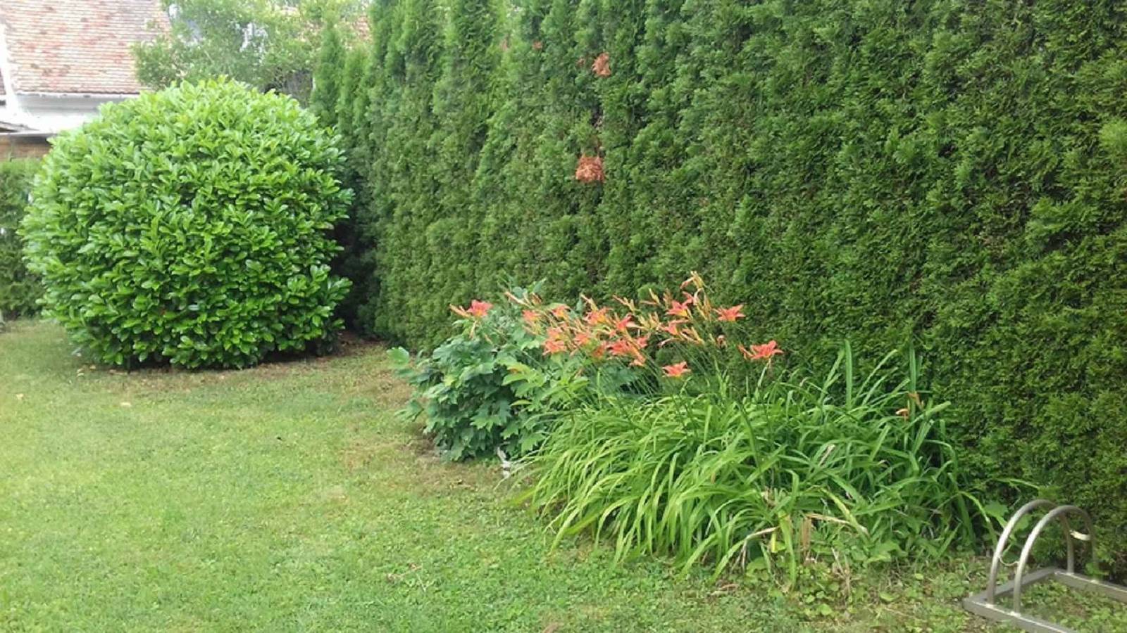 Ferienhaus nur 150 m von der Therme entfernt in Bük, Komitat Eisenburg