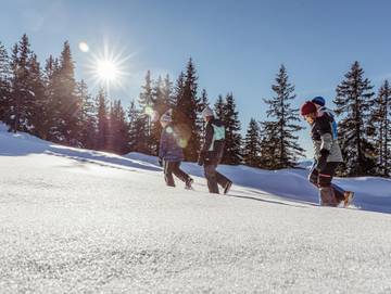Chalet für 14 Personen in Wildschönau, Ski Juwel Alpbachtal Wildschönau, Bild 4