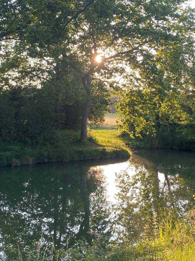 Double Room with Garden View in Villefranche-de-Lauragais, Canal du Midi
